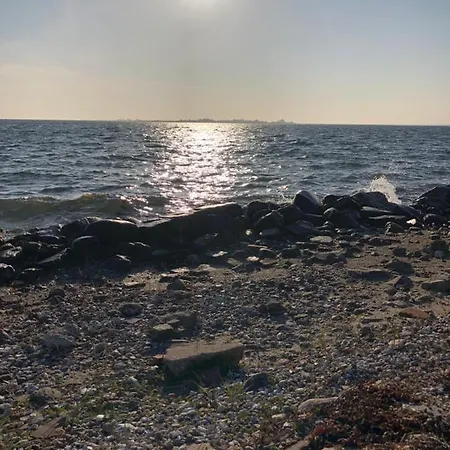 Apartment 2 Vaerelses Taet Pa Og Taet Pa Naturen Pa Tasinge Svendborg
