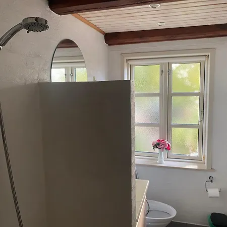 Apartment 2 Vaerelses Taet Pa Og Taet Pa Naturen Pa Tasinge